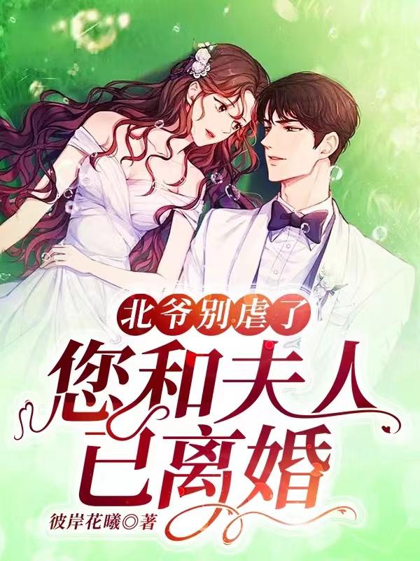 北爷别虐了,您和夫人已离婚