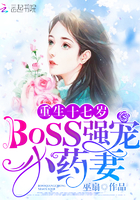 重生十七岁:BOSS强宠小药妻