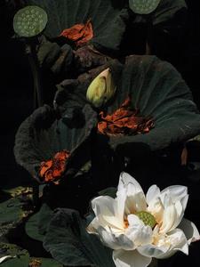 转入尖子班的日常