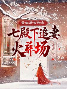 重生后去和亲，七殿下追妻火葬场