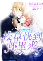 甜撩萌爱:校草快到怀里来